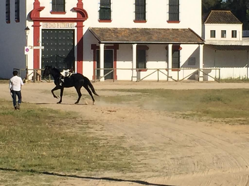 El Rocio Azul Alojamiento Rural 외부 사진